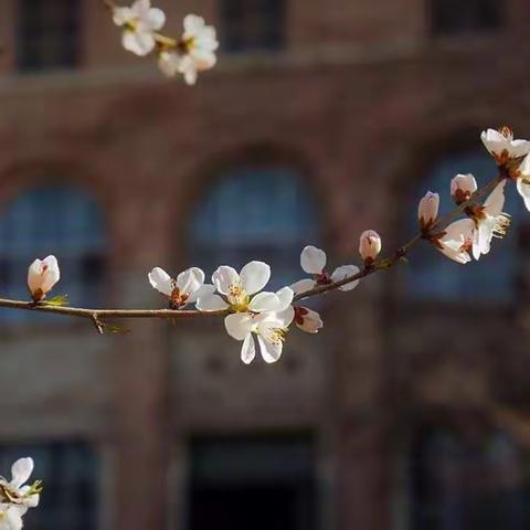 家访工作是我校的一项日常工作——安源区特殊教育学校“万师访万家”活动纪实