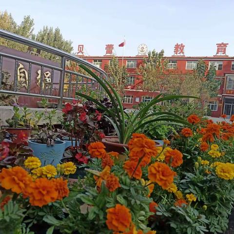 停课不停学，贝蕾展风采。