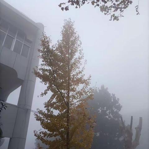 高一周六晨读进行时