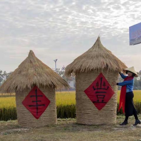 风吹稻浪，遍野金黄