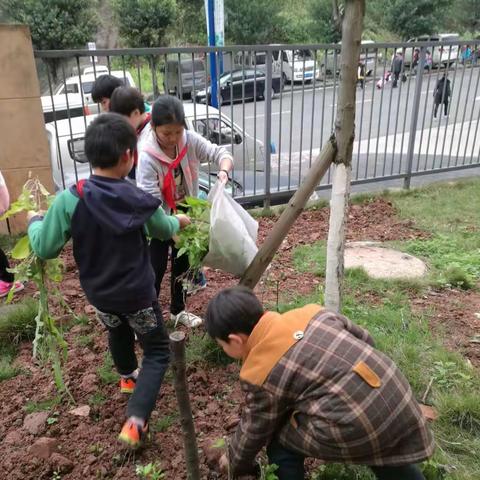 新华小学“小手拾起大梦想，让绿色拥抱地球”系列活动