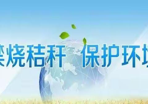 从我做起，保护碧水蓝天！————东海镇中心校禁止焚烧秸秆主题升旗仪式。