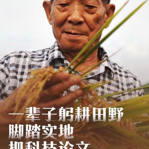 缅怀袁隆平爷爷 爱惜每一粒粮食