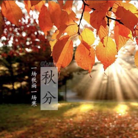 【节气活动】二十四节气～秋分主题活动