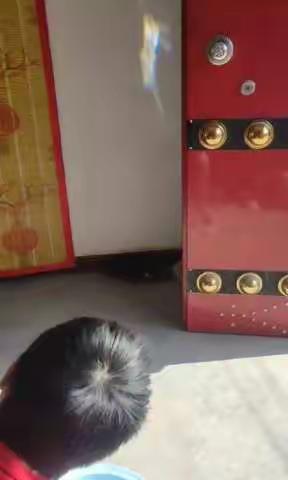 【双减在行动】科学素养家中显 理化作业有特色——大荔县东七初中理化学科特色作业展示