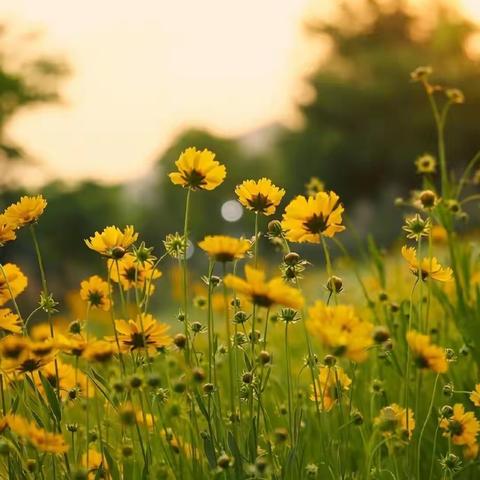 春暖花开，奋力生长。