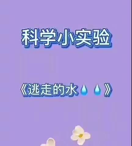 【杜曲街道希望之星幼儿园大班组线上教学】科学领域《逃走的水》