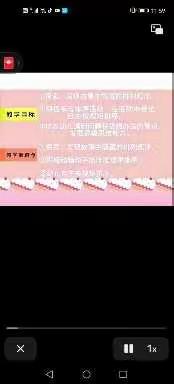 杜曲街道希望之星幼儿园大班科学活动《找规律排序》