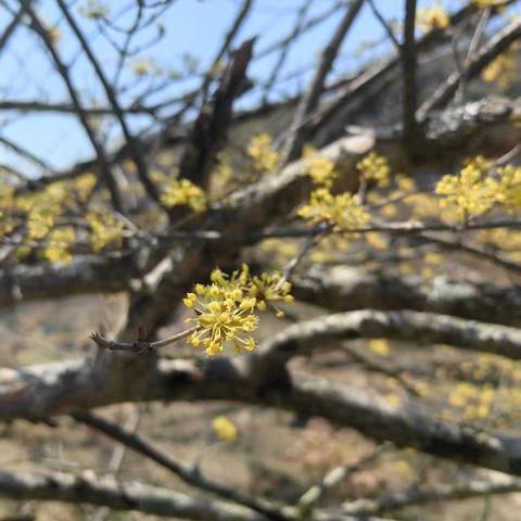 自然学堂笔记（112）