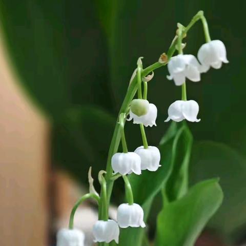 自然学堂笔记（100）