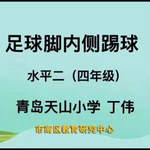 说课、模拟上课《足球脚内侧踢球》