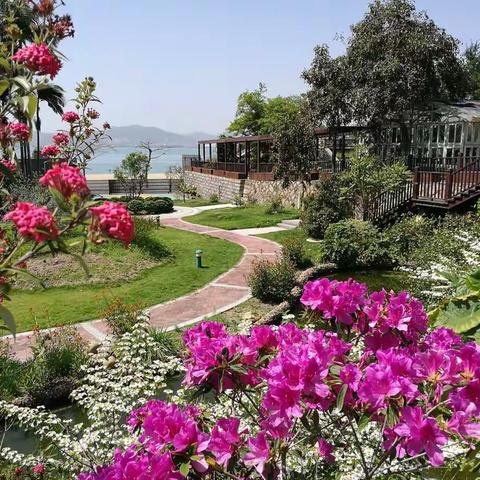 2018年的植物景观建设