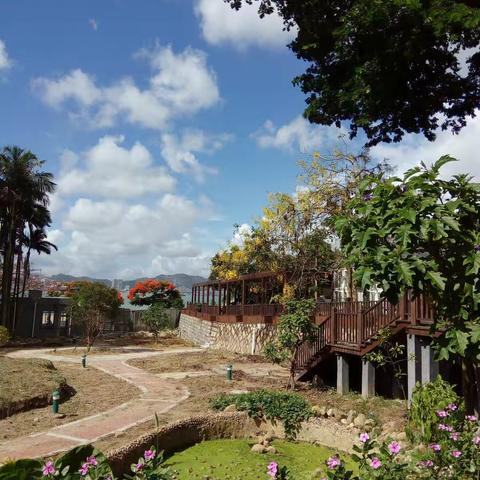 2016年的植物景观建设
