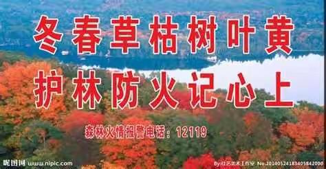 守护青山，无烟清明，平安伴安平——安平中小森林防火教育在行动