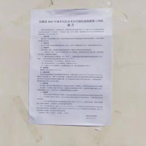 【昌宁镇头井子村】宣传医保政策 精准为民服务