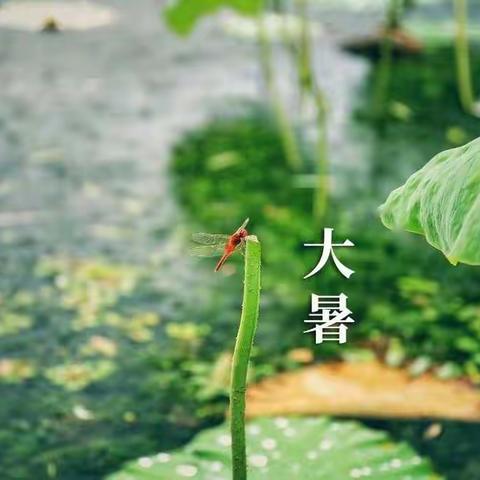 2021.7.22   星期四  晴