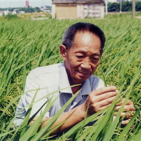 送别，国之栋梁袁隆平——永和镇铁山完小开展缅怀袁隆平爷爷活动