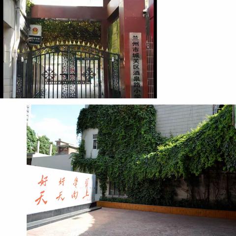 疫去春来     收获成长——酒泉路小学项目式学习活动纪实