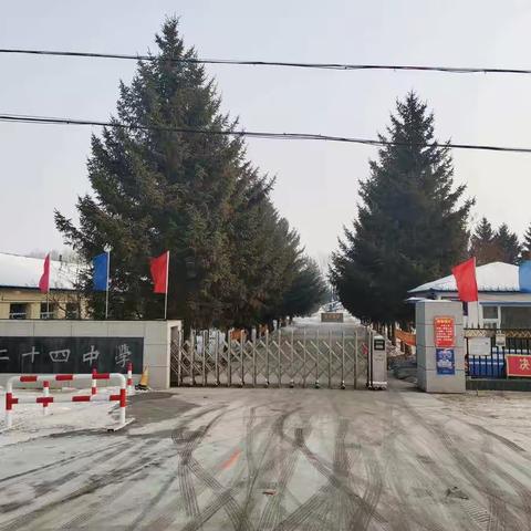 体验冰情雪趣，绽放魅力青春