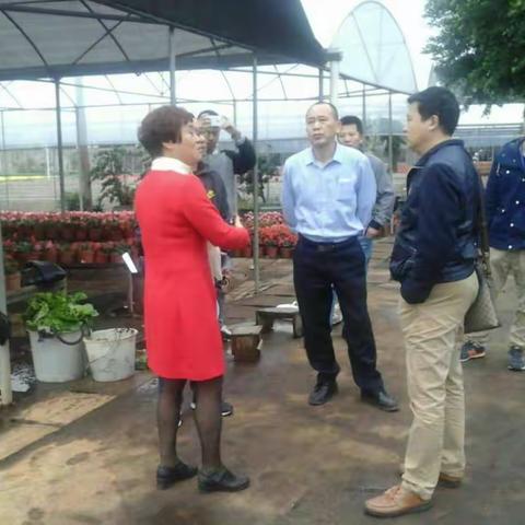 【环保调查20161224】市生态环保局快速应对媒体报道，及时解决市民诉求