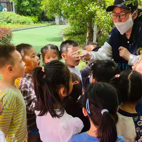 🌱疫情花开，我们相约幼儿园🌼