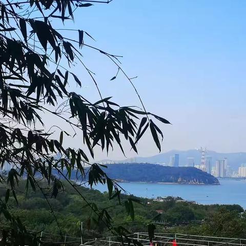 林幽院静桂花香———南雁荡山怡心院别记           作者：周广列