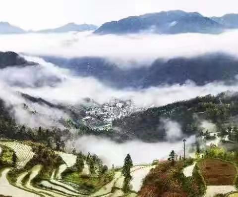 古村落文化带来新视野——平阳县文化学研究会赴青田山村考察调研华研 平阳县文化学研究会 2023-08-26 20:38