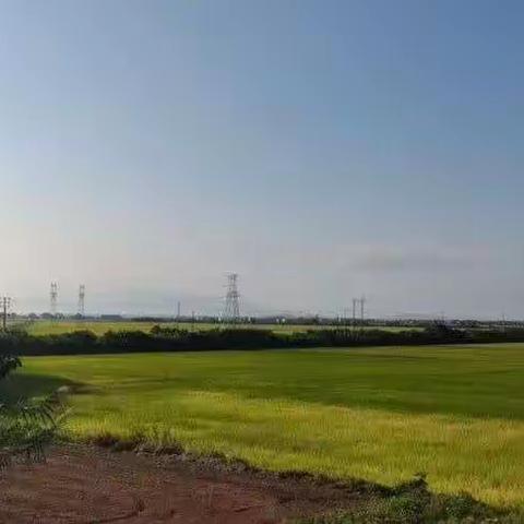 五届六次理事会讨论“学习与发展“工作     (20230117)