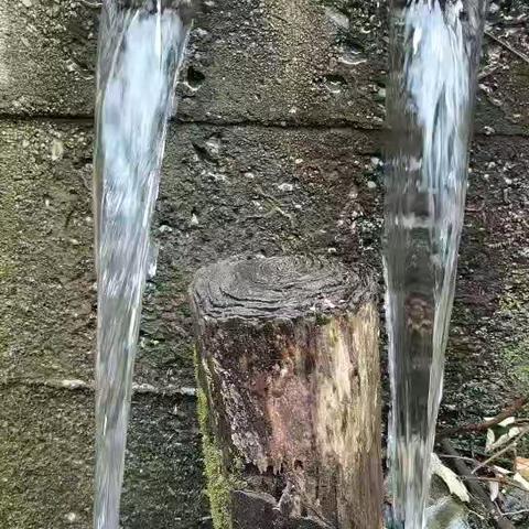 问渠那得清如许  再探山泉活水来