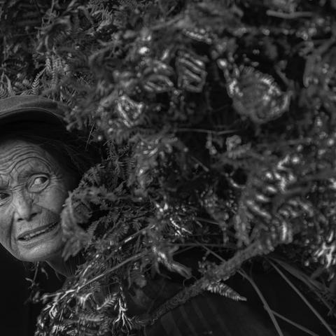 《  彝  海  影  痕  》  摄于2012年