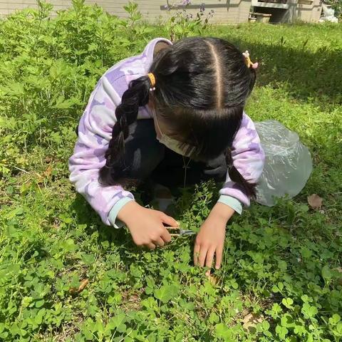 食在春天，味在春日