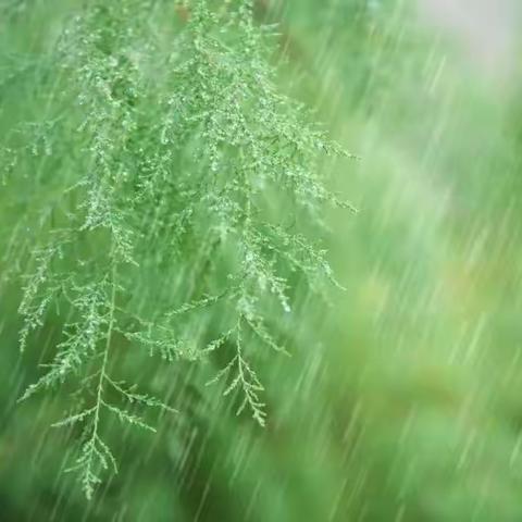 滴答滴答，下雨啦……