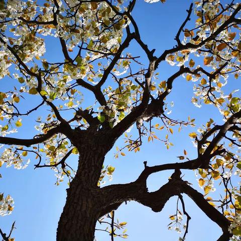 老年大学学习美篇制作