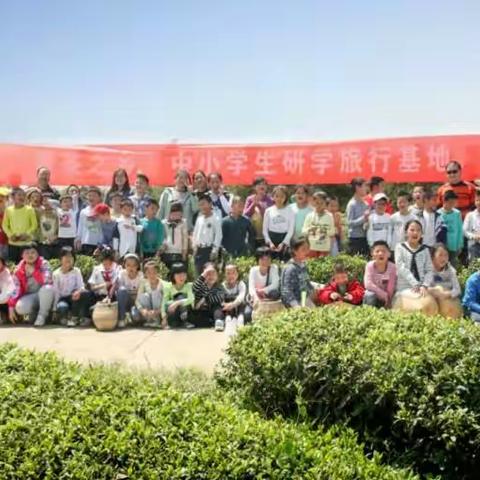 黄茶之乡•研学旅行 ——记岳阳黄茶基地（华容胜峰茶场）研学旅行活动