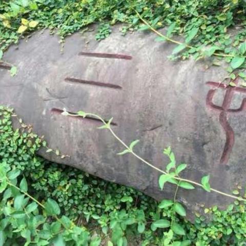 “约会秋天，放飞梦想”——百川教育第二次野外大课堂