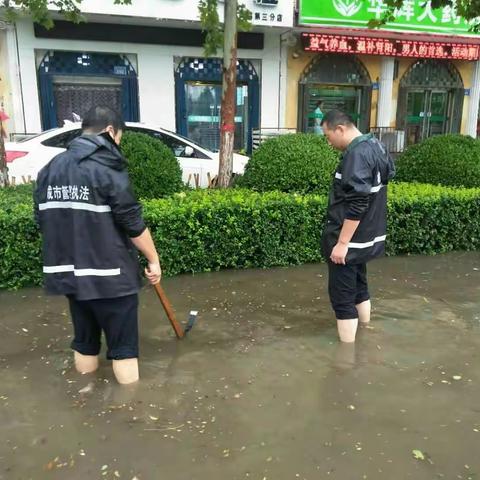 街道 、队员和雨