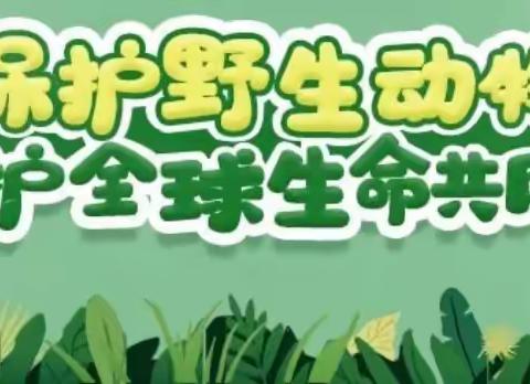 北京市六一幼儿院雄安院区的美篇