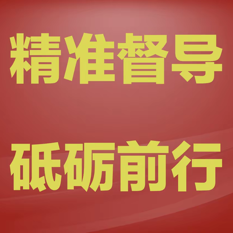 督学尽职责      督导促提升 ——新丰督学责任区责任督学许湛督导工作纪实