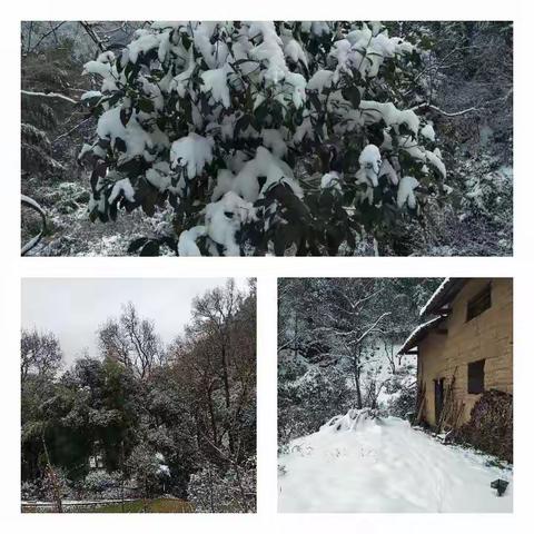 壹家人温暖江西一一一2020壹基金温暖包浮梁县发放启动仪式在西湖中心小学举行