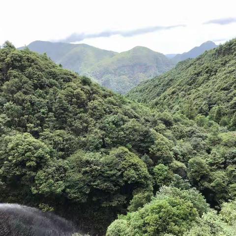 模环中心校片区高段数学教学评比活动在小南海小学举行