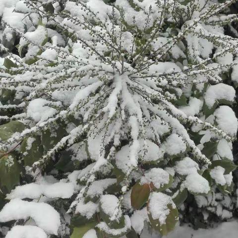 雪美，孩子的笑脸更美！ 沛城街道中心小学五(6)班