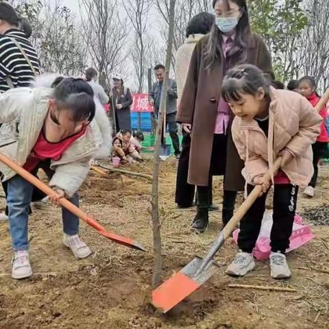 时光农场植树节活动开始啦