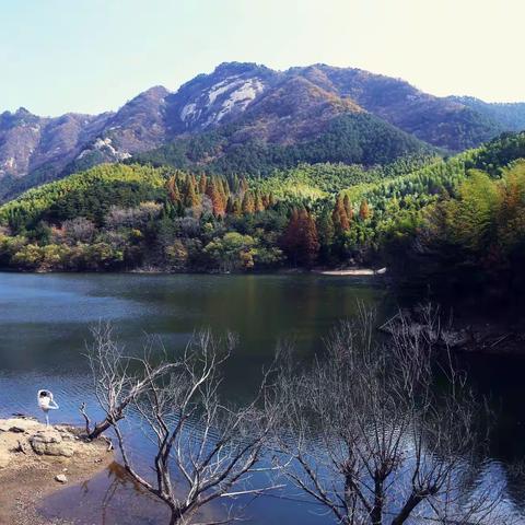 秋韵大别山——黄柏山采风美图汇。