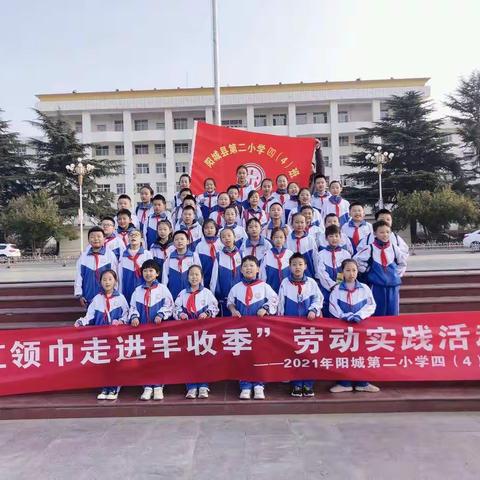 “社会实践—红领巾走进丰收季”阳城县第二小学四（4）班采摘苹果劳动实践活动