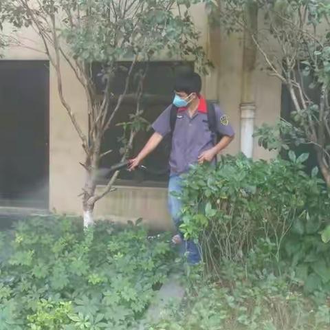 登革热防控