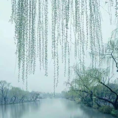 网课期间，家庭就是孩子最好的课堂，家长就是孩子最好的老师