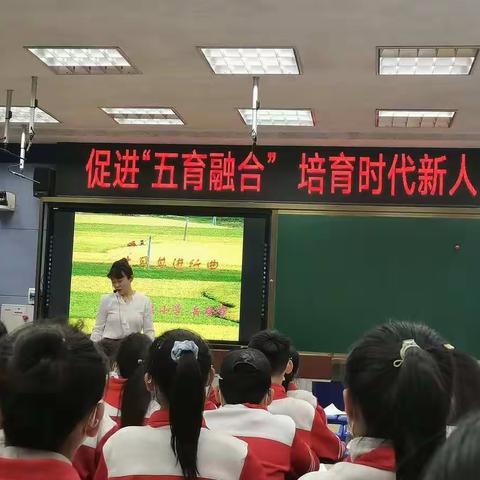 大胆创新 探索新路———西关小学综合组评教评学