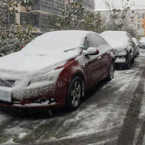 初雪