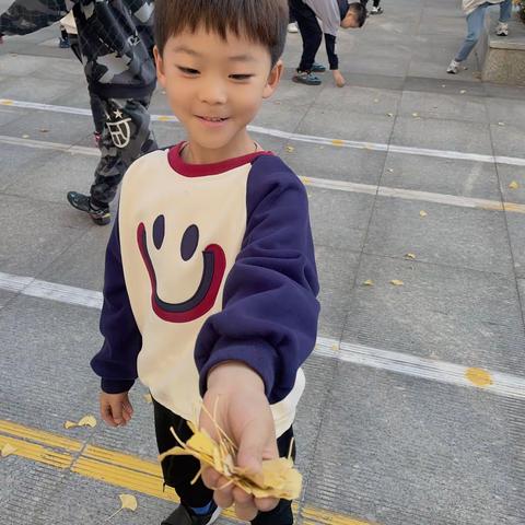就地取材—-银杏树叶走进了我们的课堂
