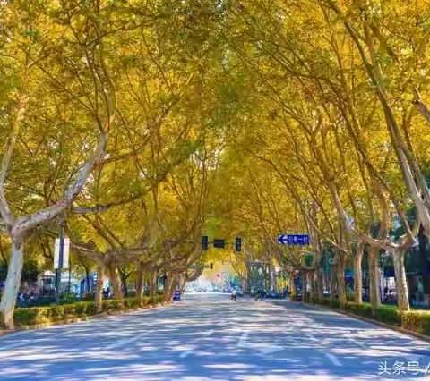 学习金陵先进理念，充实椰城学校文化教育 ——海口市2018小学校长团队培训班第二小组学习纪实